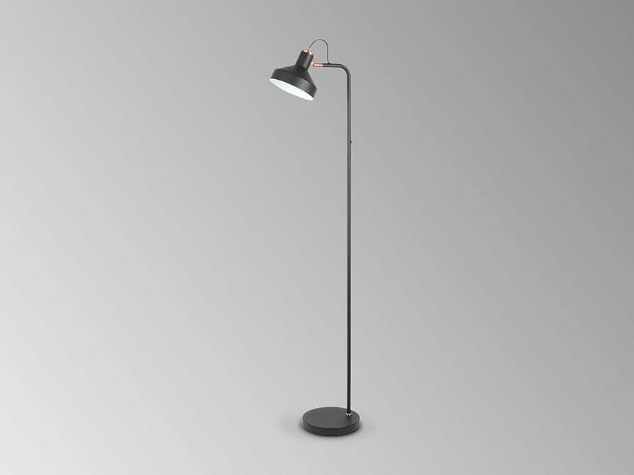 Irias 12528