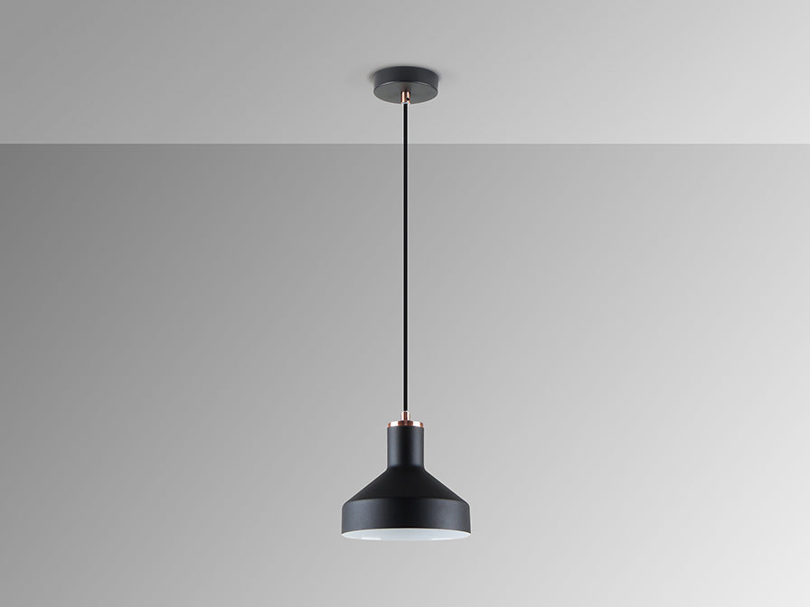 Irias 12537