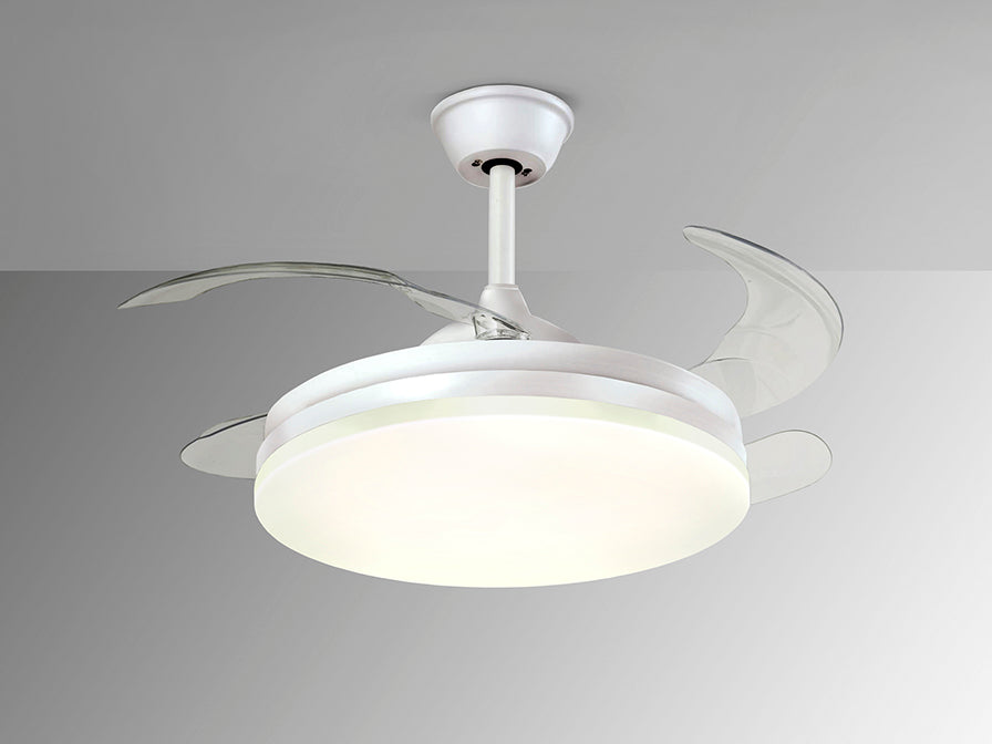 Vento 168304D