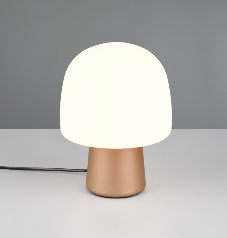 STEEN 568200165