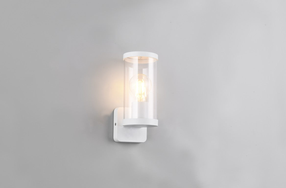 BONITO – R21596131