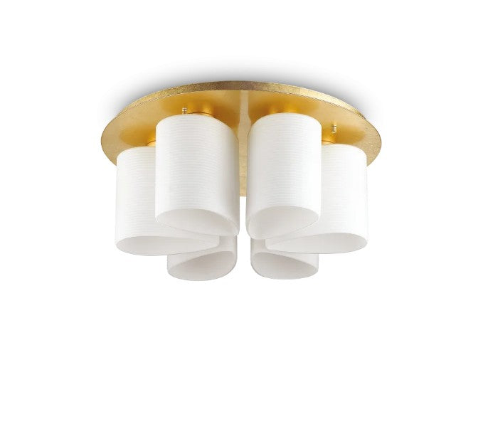 Daisy pl6