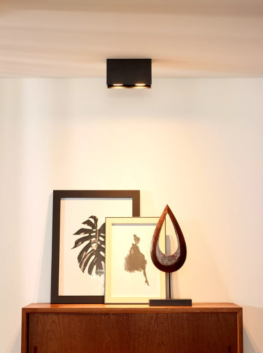 BODI - Ceiling spotlight - 2xGU10 - Black