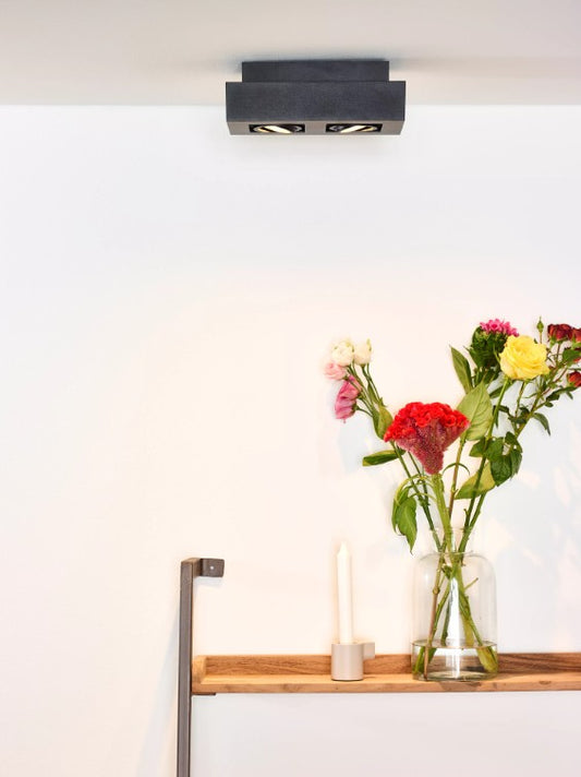 XIRAX - Ceiling spotlight - LED Dim to warm - GU10 - 2x5W 2200K/3000K