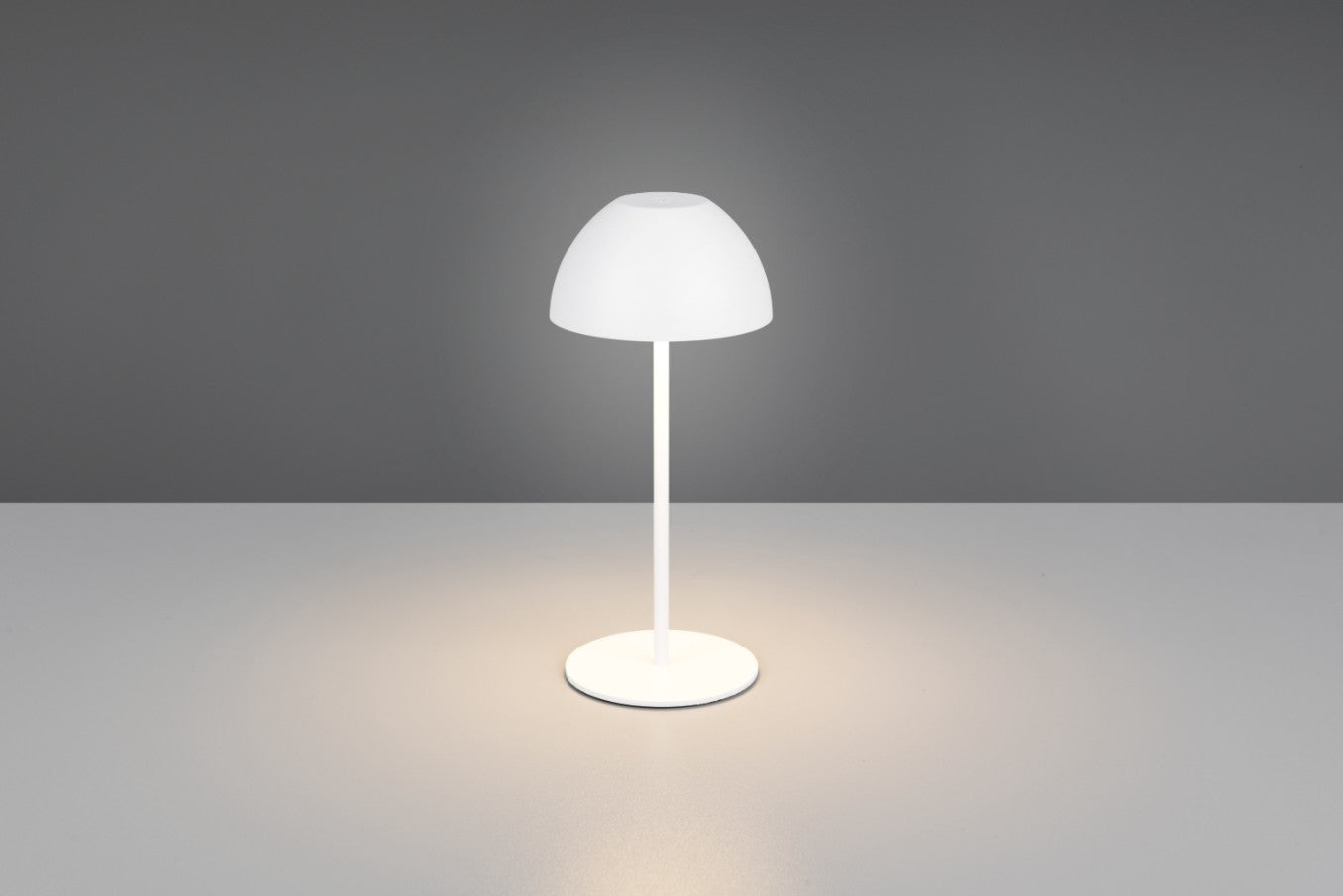 ORTIZ – R55601131