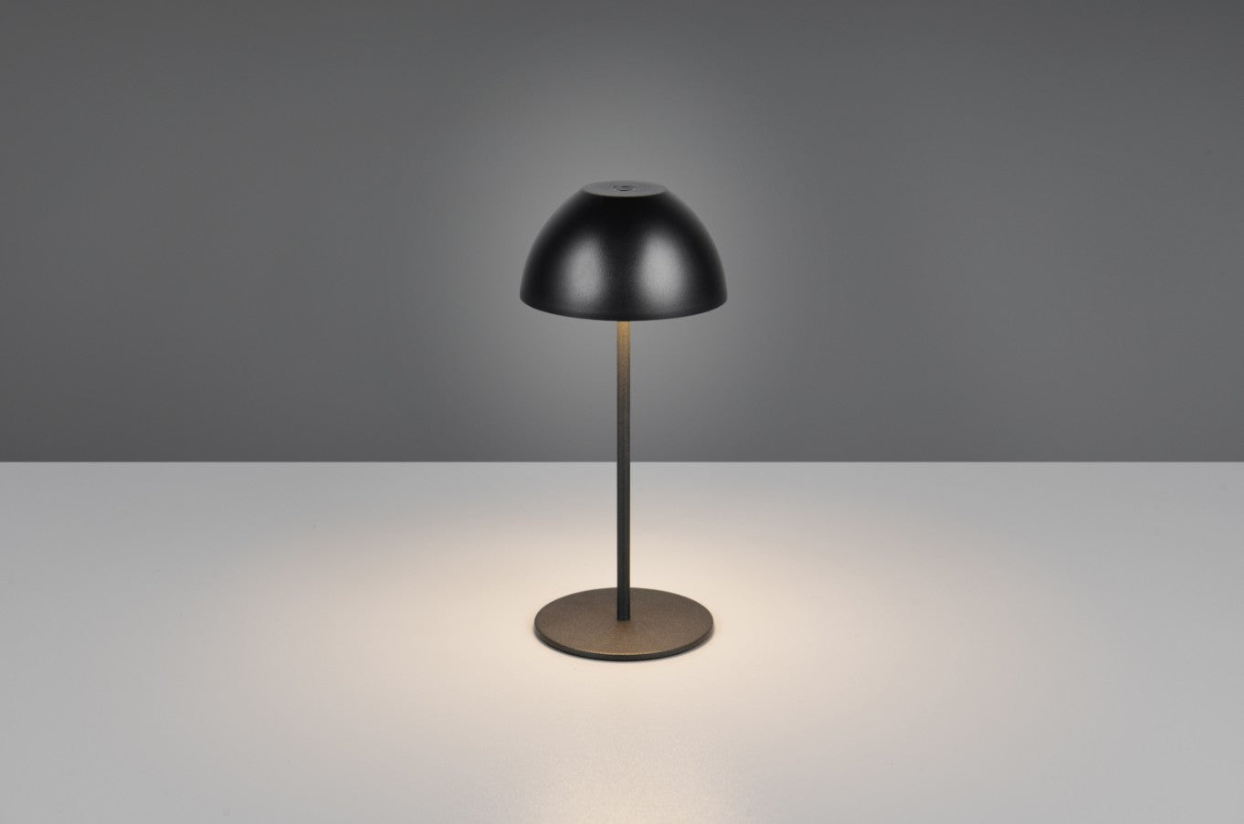 ORTIZ – R55601132