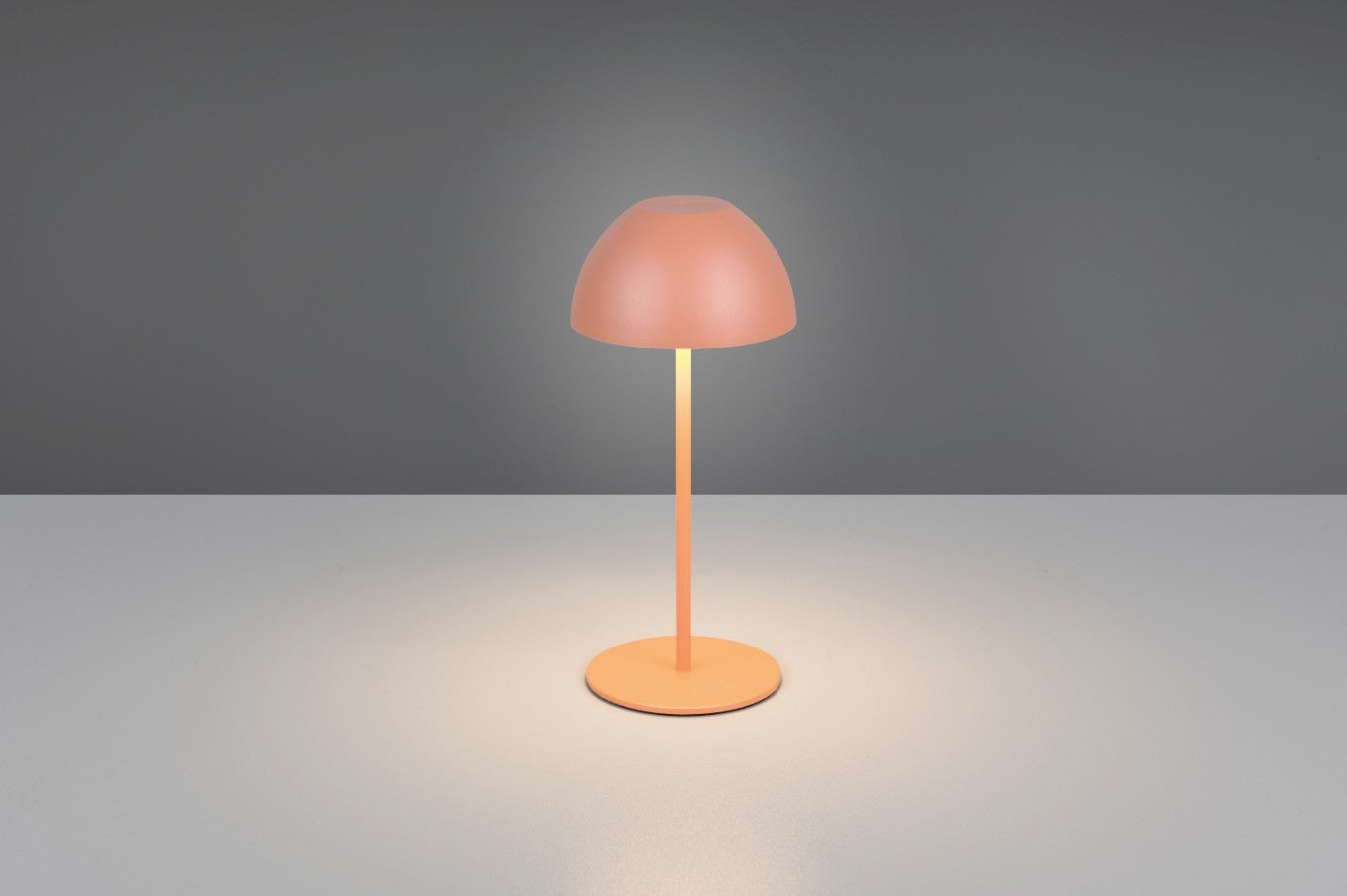 ORTIZ – R55601140