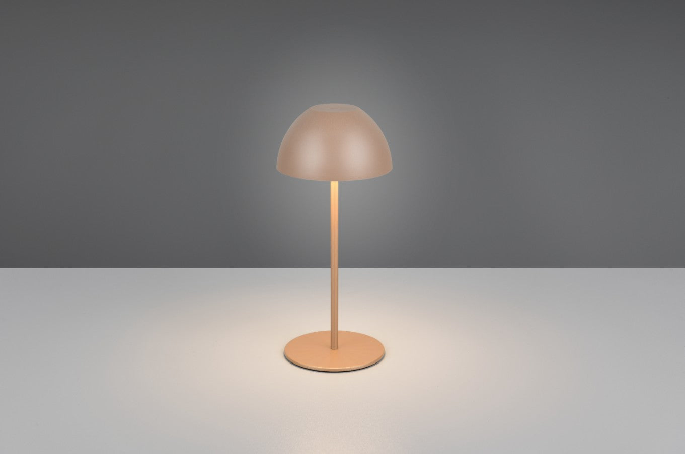 ORTIZ – R55601165