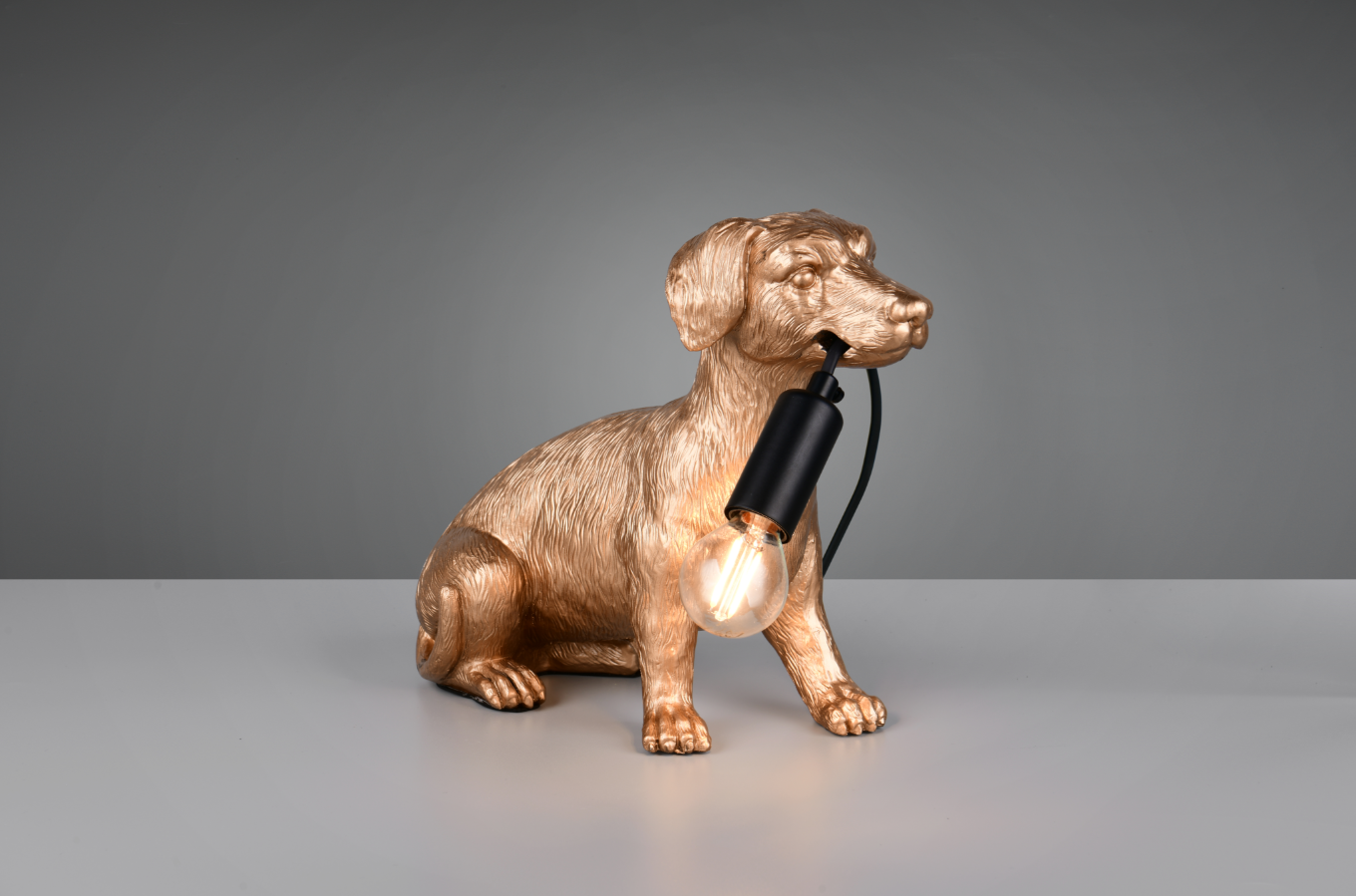 RUDI – R56601079