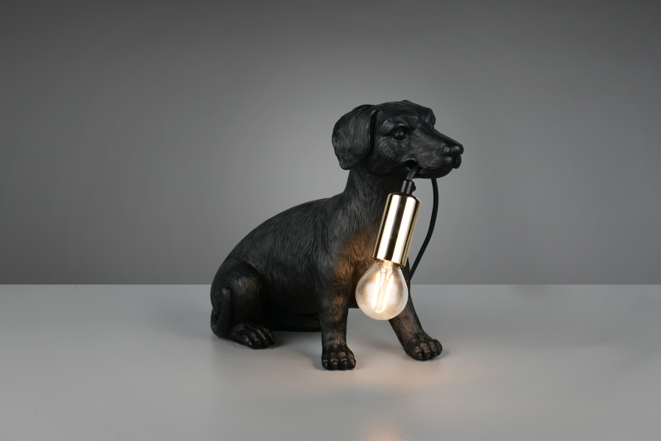 RUDI – R56601002