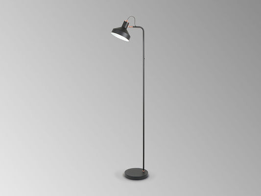 Irias 12528