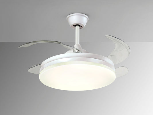 Vento 168304D
