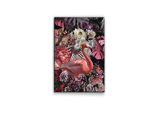 Flamenco 804936