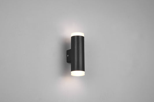 RAY – 283110232