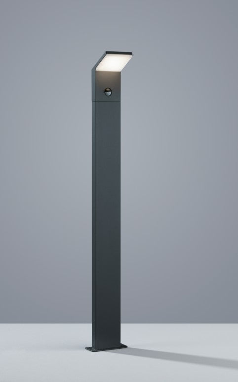 PEARL 421169142