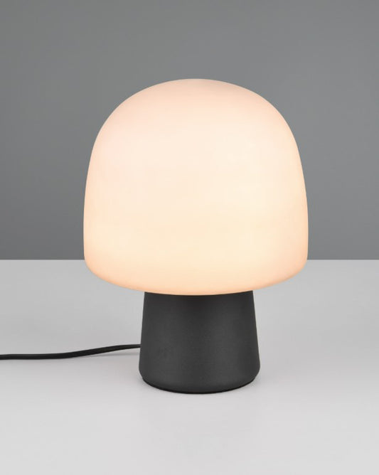 STEEN 568200132