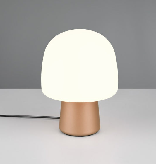 STEEN 568200165