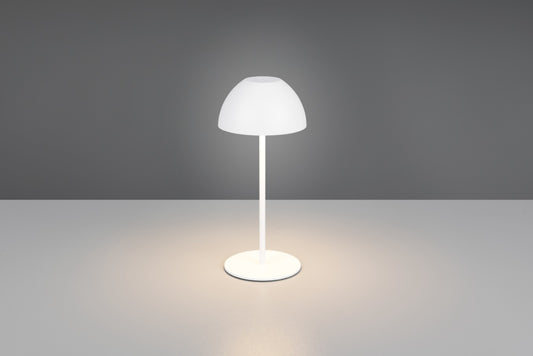 ORTIZ – R55601131