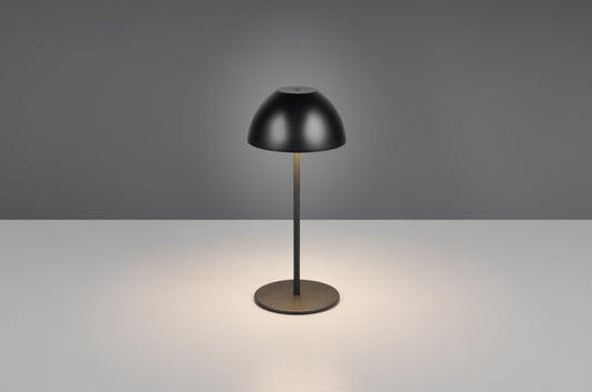 ORTIZ – R55601132