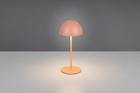ORTIZ – R55601140