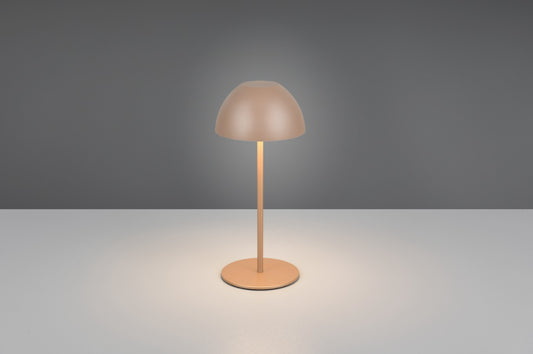 ORTIZ – R55601165