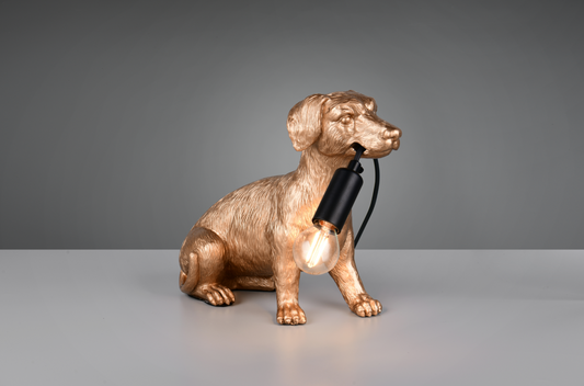 RUDI – R56601079