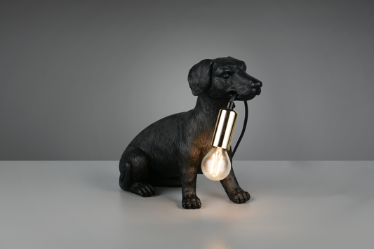 RUDI – R56601002