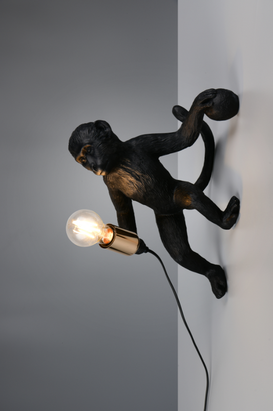 LOUY – R26541002