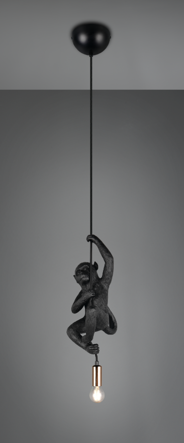 FIPS – R36551002